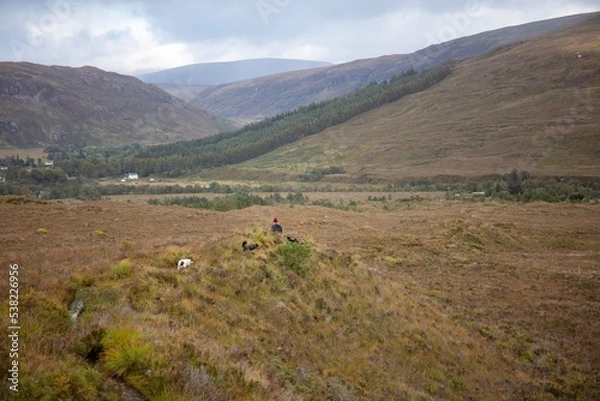 Obraz Scotland, Highlands