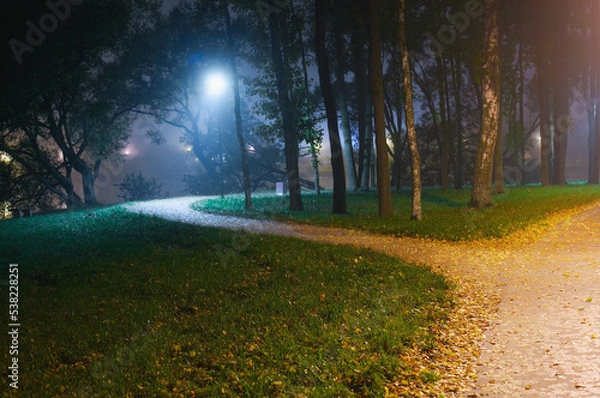 Obraz From the wide alley, illuminated at night by a warm electric light, among the grass and trees, a narrow path separates, leading off to the side, illuminated by a single night lamp of cold light