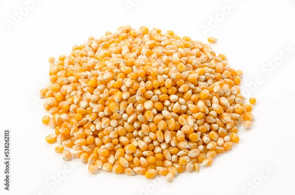 Fototapeta ポップコーンの種　乾燥トウモロコシ