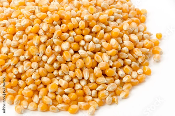 Fototapeta ポップコーンの種　乾燥トウモロコシ