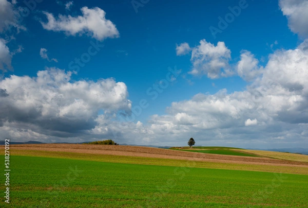 Fototapeta 丘の上の小さな木を覆う大きな雲