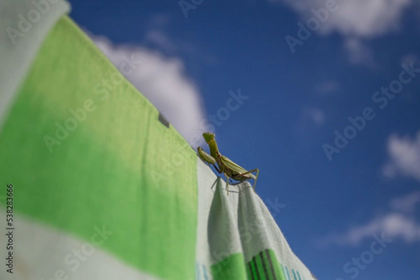 Obraz flags on the sky