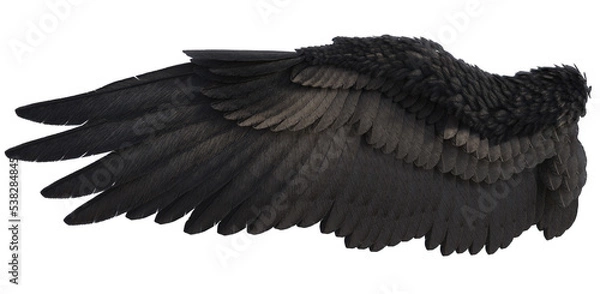 Obraz 3D Rendered Fantasy Bird Wings Isolated On Transparent Background - 3D Illustration