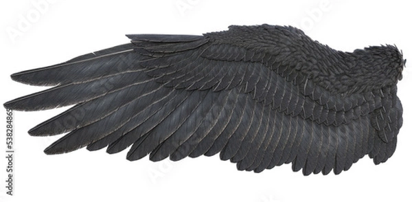 Fototapeta 3D Rendered Fantasy Bird Wings Isolated On Transparent Background - 3D Illustration