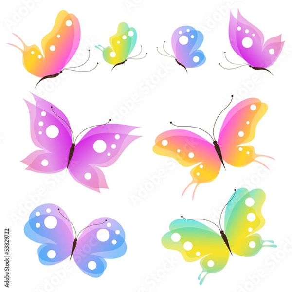 Obraz butterfly,butterflies