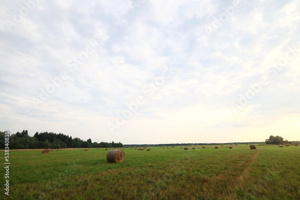 Fototapeta cloudscape field hay rolls sky clouds autumn, gloomy weather agriculture