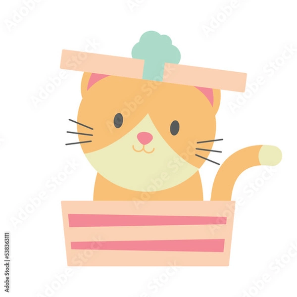 Obraz Orange Cat In A Gift Box