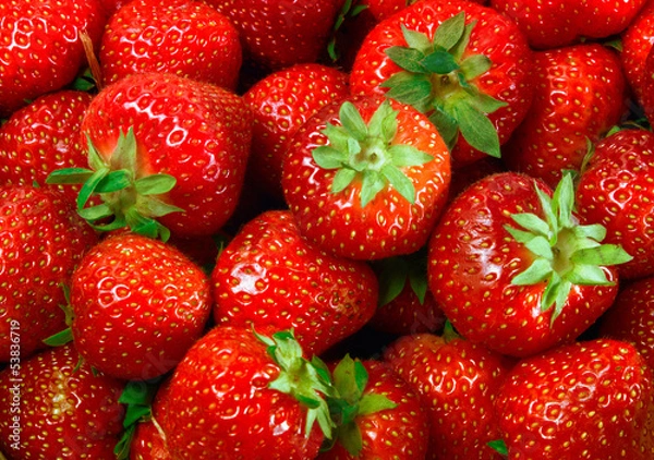 Fototapeta Erdbeeren