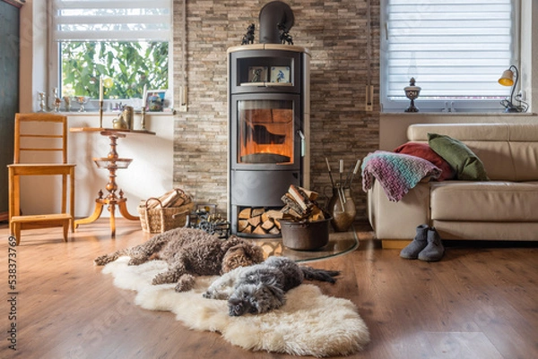 Obraz Gemeinsam vor dem Kamin abhängen, zwei Hunde chillen im Winter vor dem Ofen auf einem Schaffell