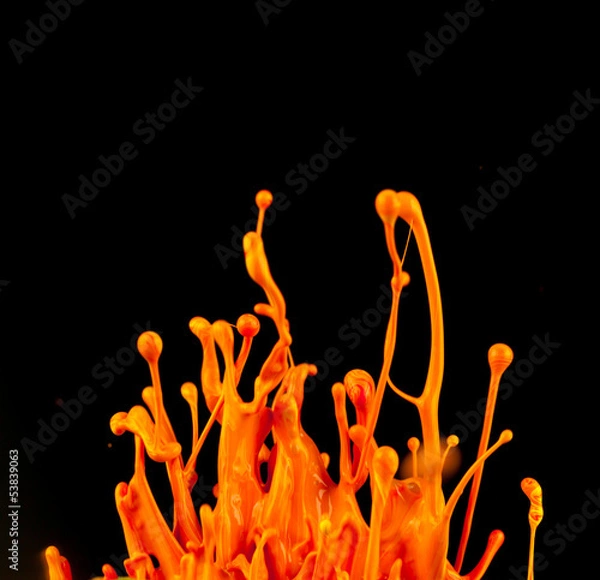 Fototapeta Colored splashes