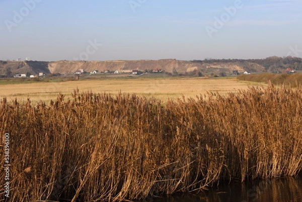 Obraz Rezerwat Beka 05