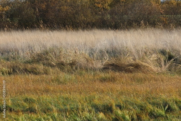 Obraz Rezerwat Beka 08