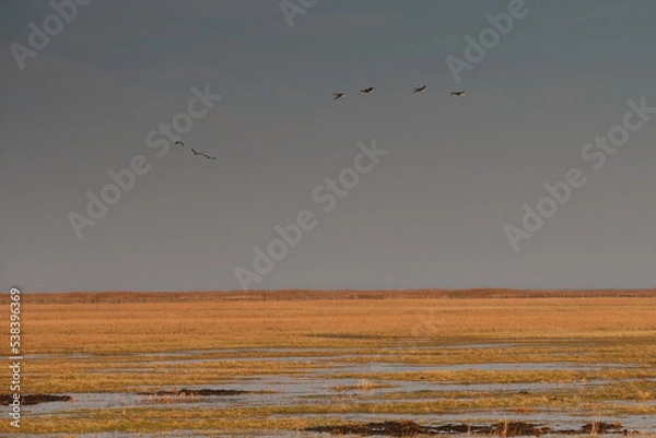 Obraz Rezerwat Beka 42