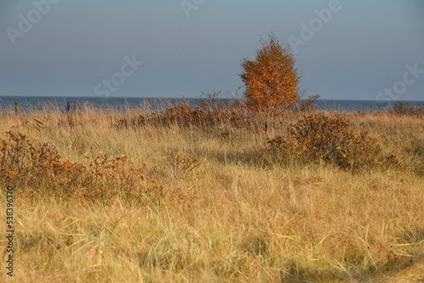 Obraz Rezerwat Beka 34