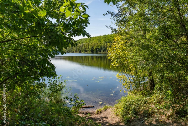 Obraz The Mittelsee or middle lake of the ville chain of lakes in the summer near cologne bruehl in North Rhine-Westphalia, germany