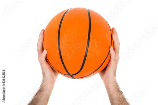 Fototapeta Two hands holding a basketball isolated on transparent background