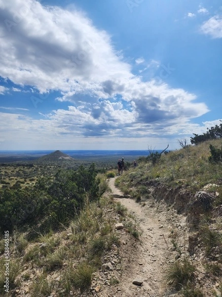 Obraz path to the sea