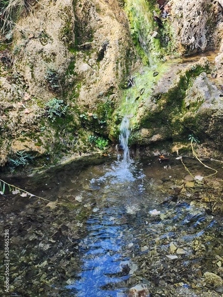 Obraz waterfall in the forest