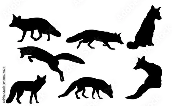 Obraz fox silhouettes in different positions