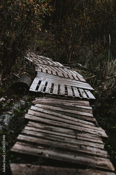 Obraz bench in the park
