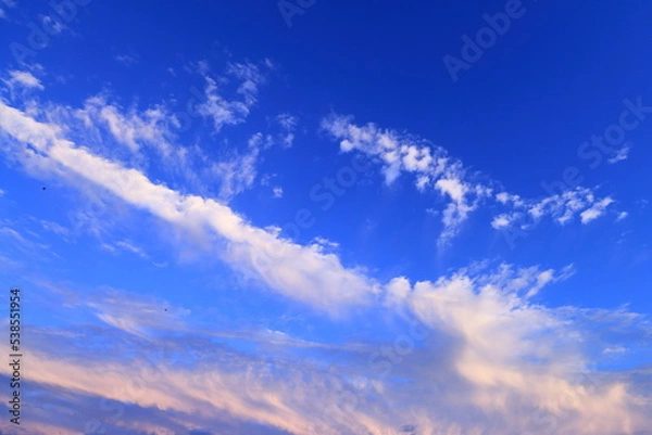 Fototapeta 綺麗な空と鳥の群れ