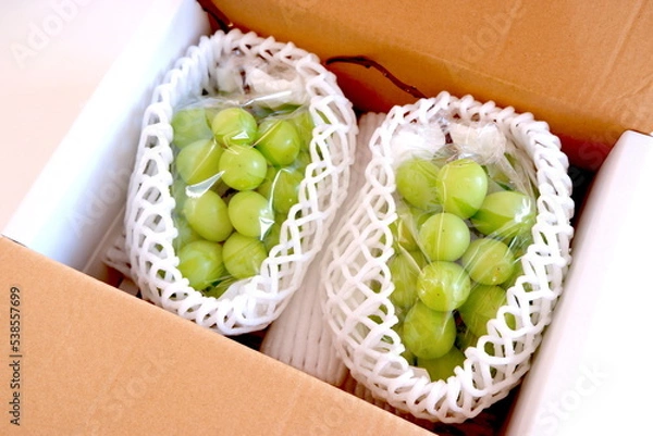 Obraz 贈答用のマスカット