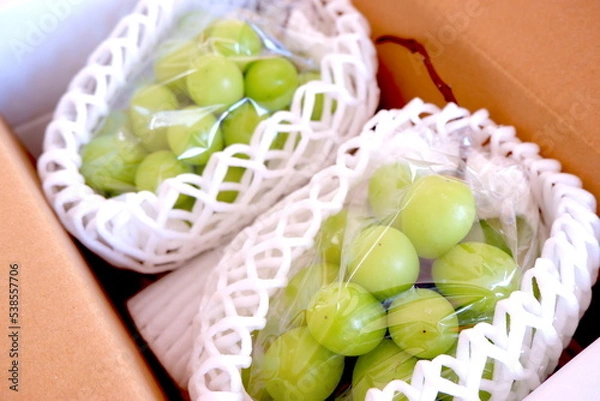 Obraz 贈答用のマスカット