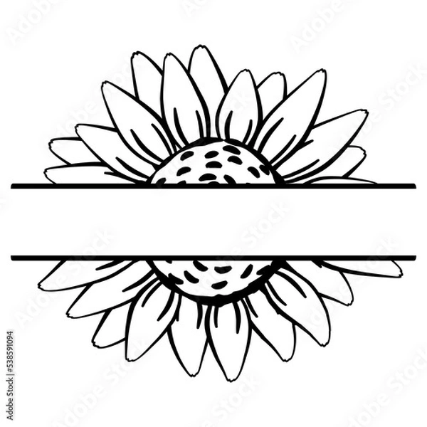 Obraz Abstract sunflower flower with a gap. Monogram in form of flower to insert name or surname. Family farmhouse logo. Outline contour drawing. Doodle sketch style. Floral split monogram. Tag, label, icon