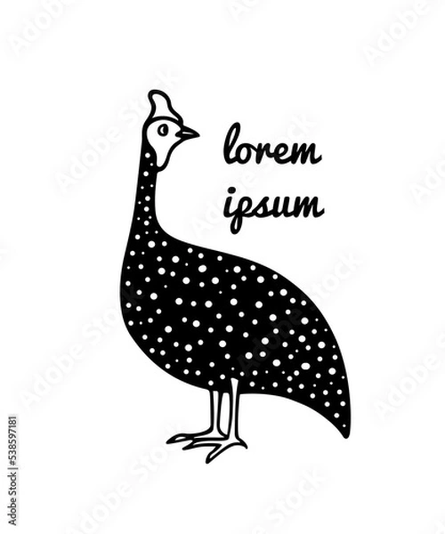 Fototapeta Vector card with hand drawn helmeted guinea fowl made in cartoon style. Ink drawing, graphic illustration, heavy contour. Beautiful design elements