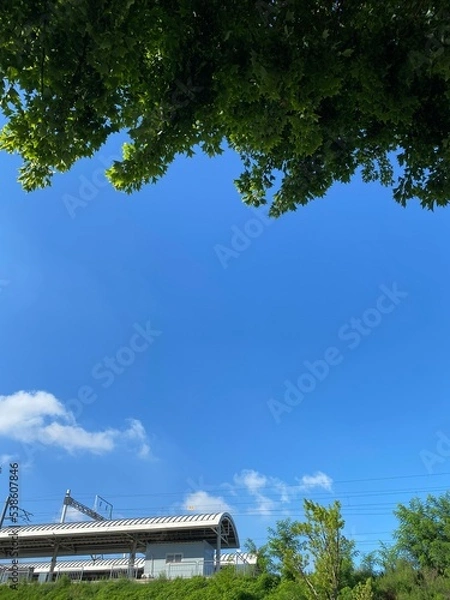 Obraz 전철역과 자연