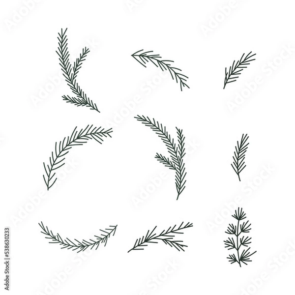 Fototapeta Pine tree branches set