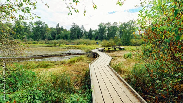 Fototapeta Boardwalk over Burrard Inlet wetlands on Shoreline Trail at Port Moody, BC, on a cloudy late summer day.