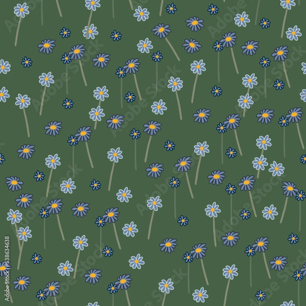 Obraz seamless floral pattern with daisy