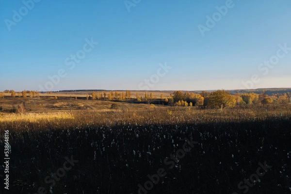 Obraz the river in the autumn