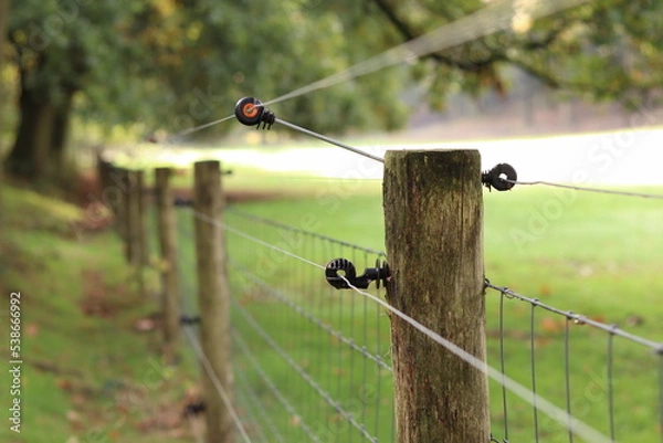 Obraz Electric fence next to a meadow