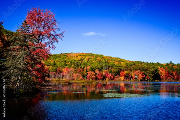 Obraz Colors of fall folliage over New Hampshire pond