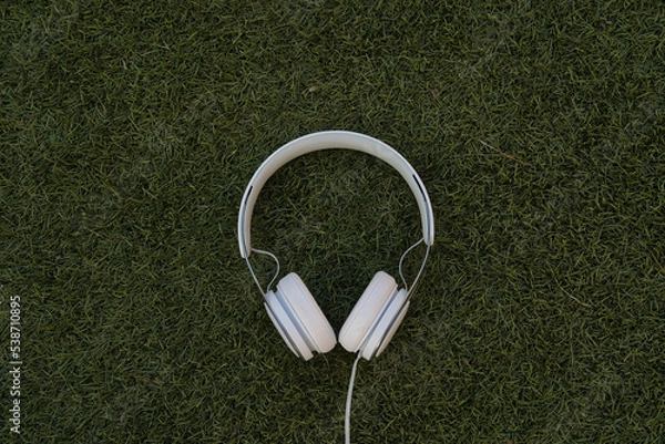 Obraz headphones on grass background