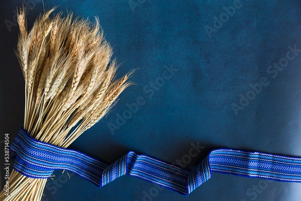 Obraz Yellow wheat and a blue ribbon. Ukrainian symbols concept