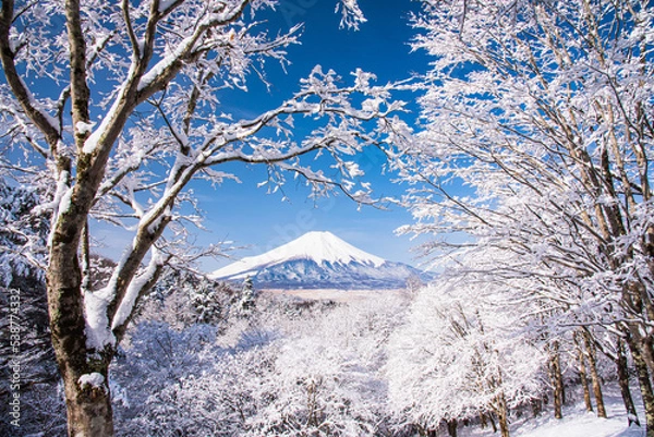 Obraz 富士山と雪景色