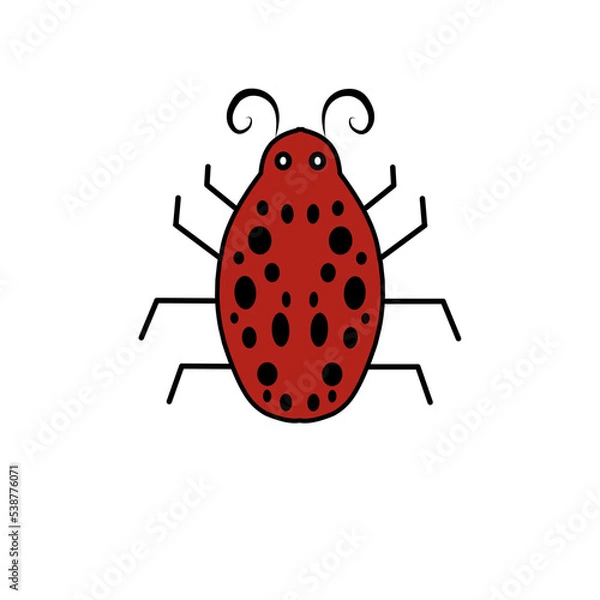 Fototapeta red beetle