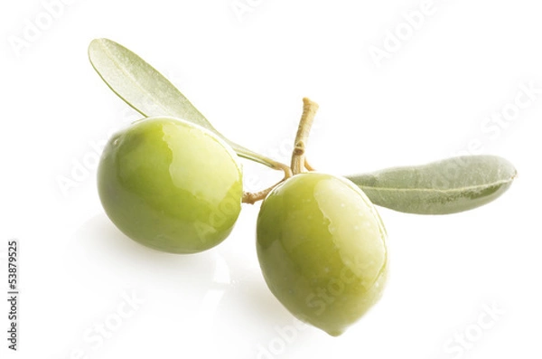 Obraz Two green olives on branch with leaves  