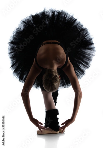 Obraz Female ballet dancer