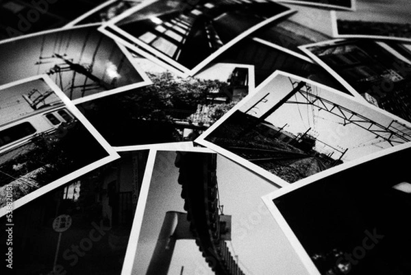 Fototapeta OLYMPUS DIGITAL CAMERA