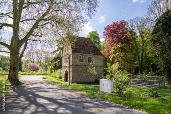 Obraz Rombergpark Dortmund