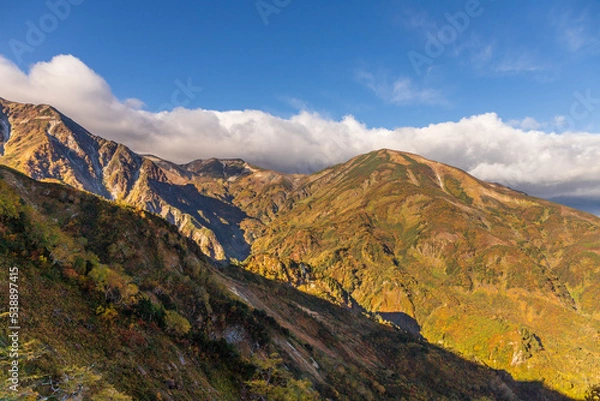 Obraz 紅葉の天狗の庭