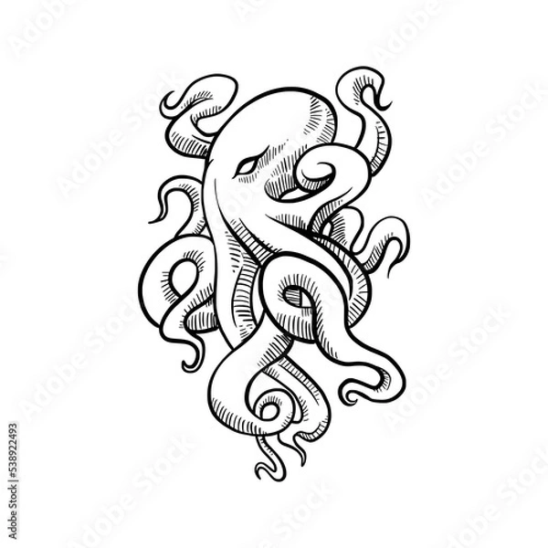 Obraz Hand drawn octopus