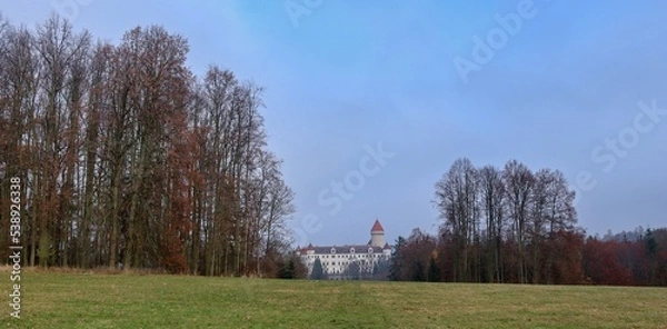 Obraz castle in park
