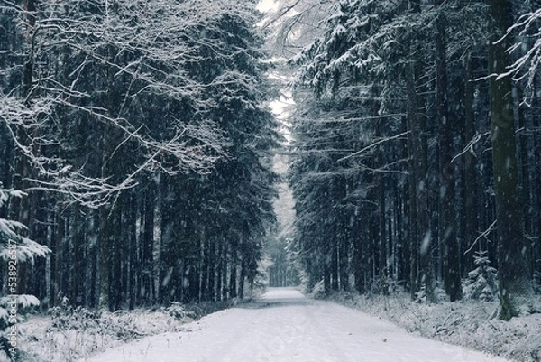 Obraz winter road in the forest