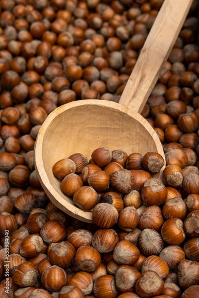 Fototapeta "Nocciola Piemonte Igp", also known as "Tonda Gentile di Langa", hazelnut variety produced in piedmont (italy)