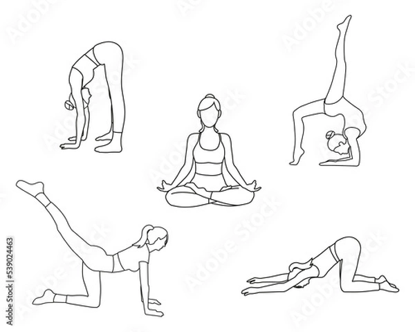 Fototapeta Five different yoga pilates positions poses in line art on white background